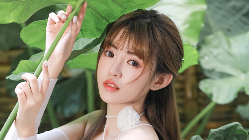 崩坏星穹铁道崇高道德的赞许怎么获得 崇高道德的赞许获得方法